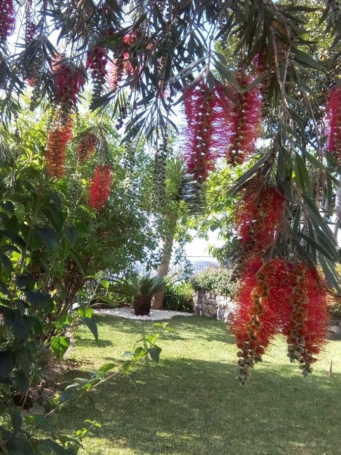 La Chambre De Ker Briac Funchal  Luaran gambar