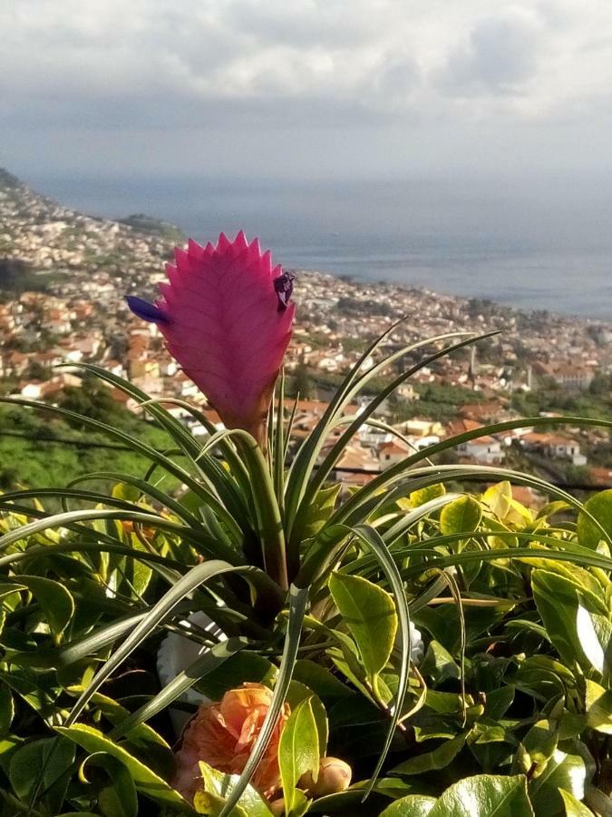 La Chambre De Ker Briac Bed & Breakfast Funchal  Luaran gambar